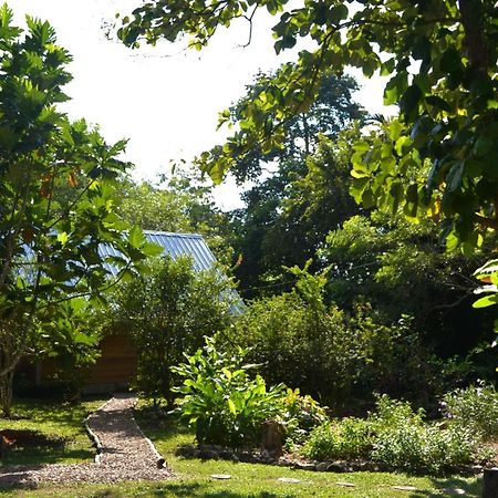 Iguana Roost Tourism Gold Standard Fully Equipped Two Bedroom Cabin San Ignacio Exterior photo
